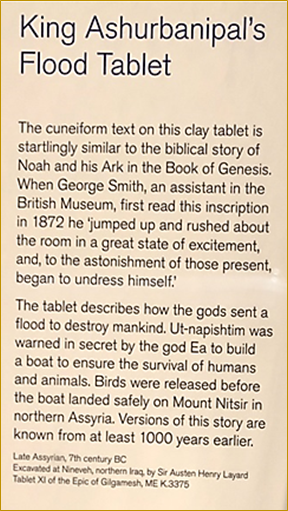 Flood_tablet.jpeg